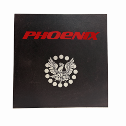 Full Complement Cylindrical Roller Bearings SL01-4848/C3